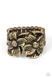 Paparazzi Necklace - Island Eden - Brass