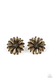 Paparazzi Earring - Daisy Dilemma - Brass