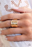 Paparazzi Ring - Too Little Too SLATE - Gold