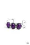 Paparazzi Bracelet - Badlands Backdrop - Purple