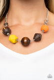 Paparazzi Necklace - Eco Extravaganza - Multi