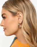 Paparazzi Earring - Curly Charisma - Silver