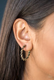 Paparazzi Earring - Plainly Panama - Brass Hoop